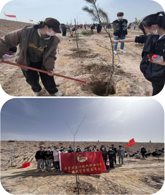 图片 3.png