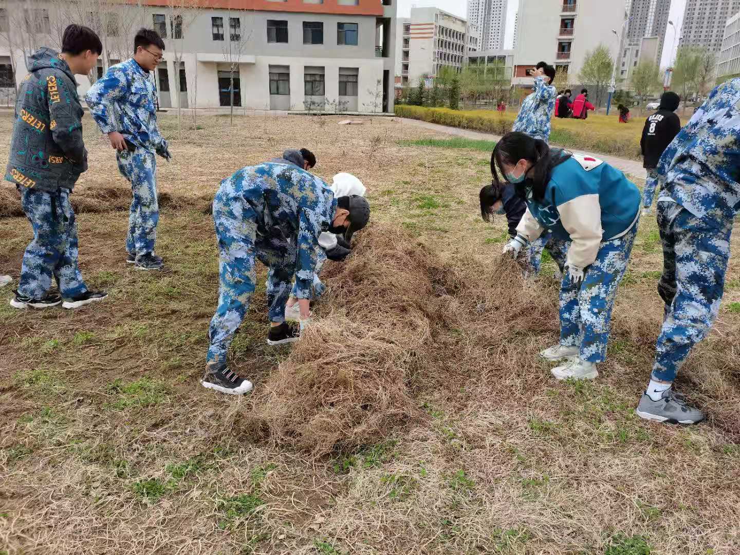 美化校园 从我做起